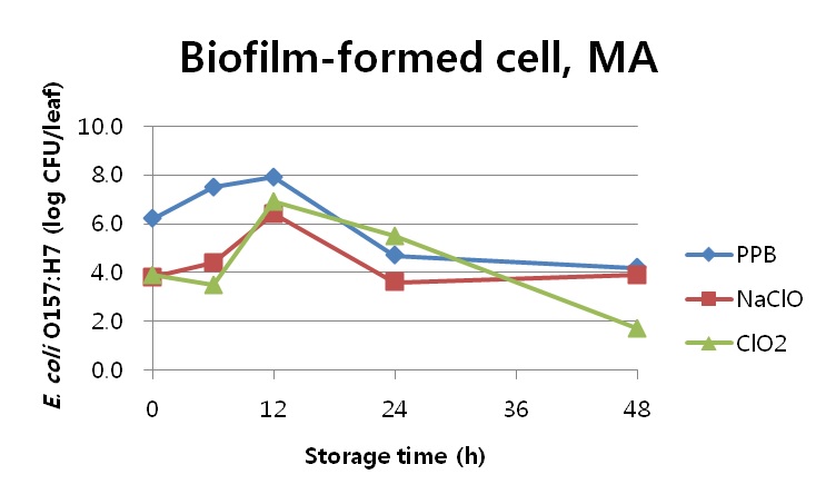 Fig. 16. PPB, 50ppm NaClO, 50ppm ClO2를 5분 처리한 후, 1시간 건조과정을 거쳐 MA에 최대 48시간 저장동안의 시금치에 바이오필름을 형성한 E. coli O157:H7의 개체수 (0h 는 1시간 건조 후 개체수를 나타냄)