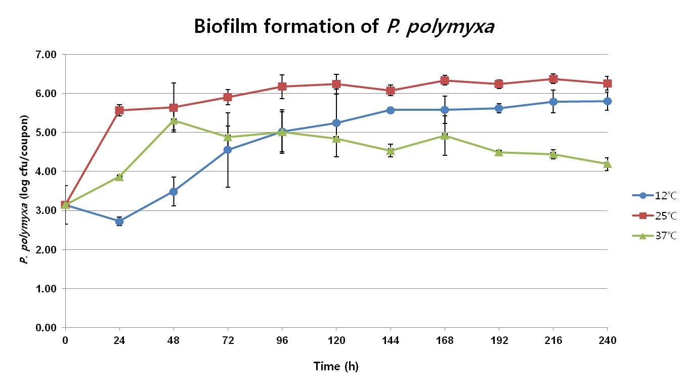 Fig. 21. stainless steel coupon에 부착시킨 후 12, 25, 37℃에서 최대 240시간 동안 배양시킨 P. polymyx a의 개체수