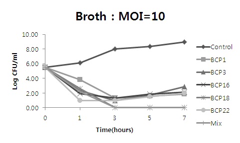 Fig. 43. Viable count를 이용한 박테리오파지에 의한 B. cereus 의 생육저해효과 LBC broth에 B. cereus와 박테리오파지를 MOI 10로 접종하여 1, 3, 5, 7시간 37℃ shaking incubation하면서 MYP agar에 spreding하여 viable count를 측정하였다.