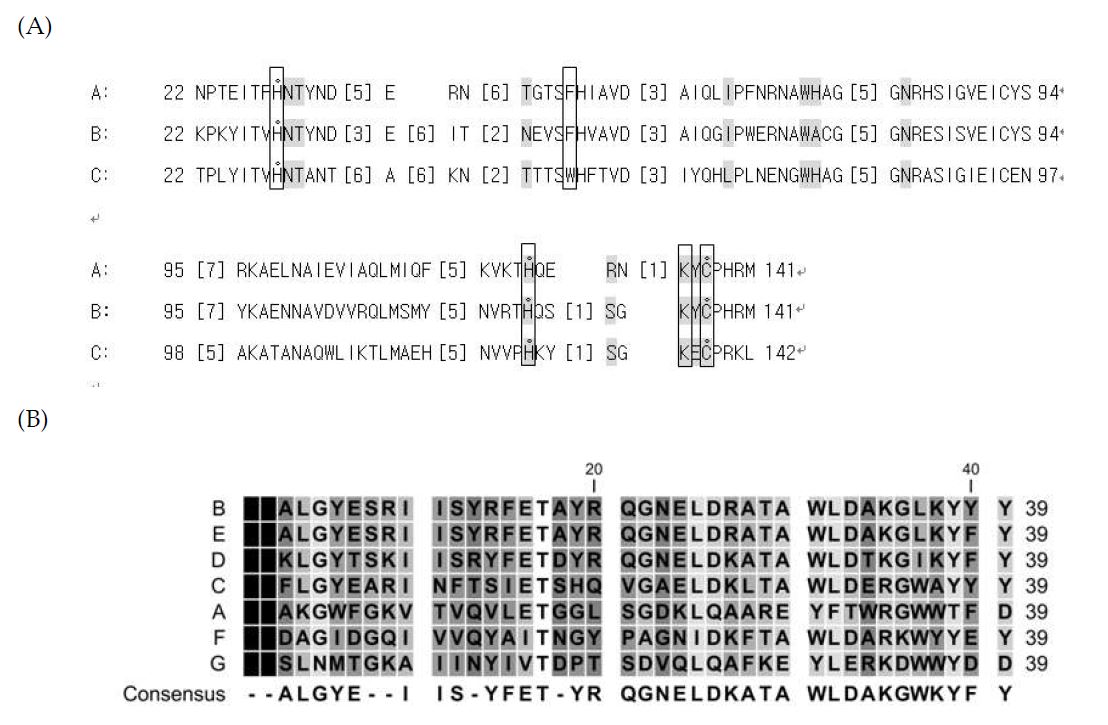 Fig. 46. Conserved domain features of putative endolysin