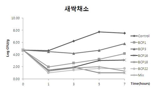 Fig. 59. 신선농식품에 접종하여 박테리오파지로부터 B. cereus의 생육저해효과 B. cereus에 접종된 모듬새싹채소를 PBS buffer에 박테리오파지를 접종하여 1, 3, 5, 7시간 37℃ shaking incubation하면서 MYP agar에 spreding하여 viable count를 측정하였다.