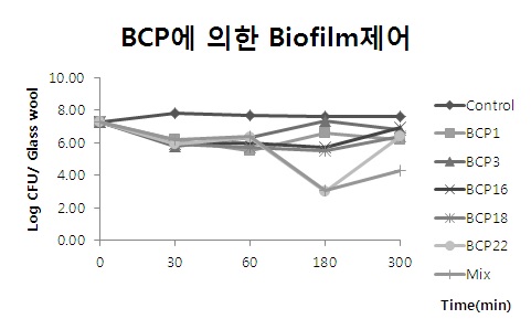 Fig. 74. 단독 박테리오파지에 의해 Glass wool에 부착된 biofilm-formed cell 제어효과 (Control : B. cereus KCTC 1094)