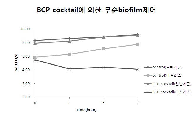 Fig. 78. Viable count를 통한 박테리오파지에 의해 무순에 부착된 biofilm-formed cell 제어효과