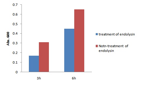 Fig. 80. Phage 250으로부터 분리된 endolysin에 의한 B. cereus에 대한 생육 억제 효과