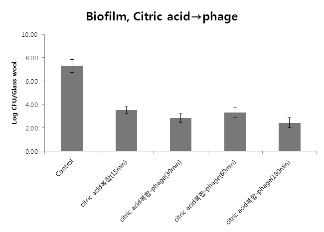 Fig. 88. Citric acid 복합처리(1% citric acid+20%ethanol+10% NaCl)후 박테리오파지처리에 의해 Glass wool에 부착된 biofilm-formed cell 제어효과
