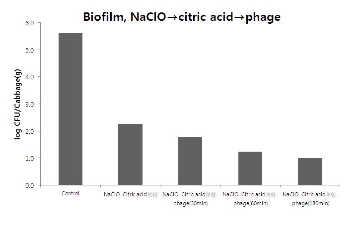 Fig. 94. NaClO, citric acid 복합처리(1% citric acid+20%ethanol+10% NaCl), 박테리오파지처리 순에 의해 양배추에 부착된 biofilm-formed cell 제어효과