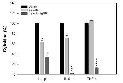 알지네이트 및 알지네이트-은 나노입자 스폰지에 의한 RAW 264.7 cell의 proinflmmatory cytokines 분비 비교.