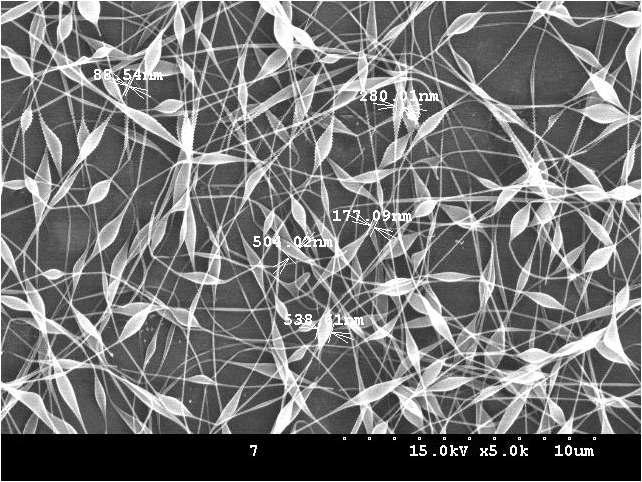 전기방사에 의해 제조된 알지네이트-PVA 나노섬유구조체의 전자현미경 사진.