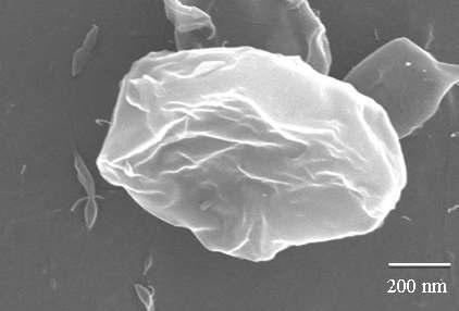 FE-SEM images of LMW-PVA/MMT composite nanoparticle.