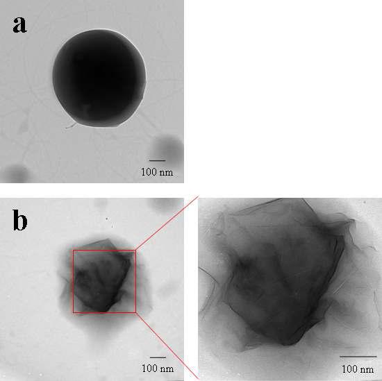 TEM images of (a) pure LMW-PVA nanosphere and (b) LMW-PVA/MMT composite nanoparticle (LMW PVA concentration = 2.5 wt.%, MMT concentration = 5 wt.%, TCD= 15 cm and applied voltage= 15 kV).