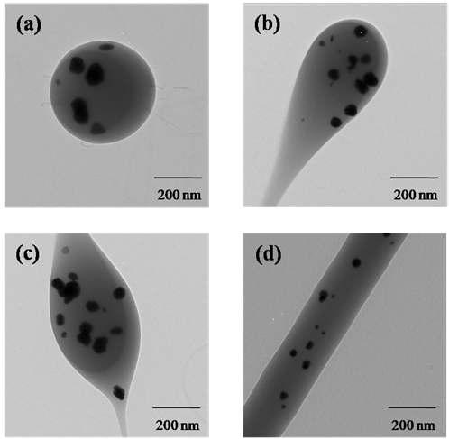 TEM images of LMW-PVA/Ag nanosphere prepared with different PVA concentrations of (a) 2.5 wt.%, (b) 5.0 wt.%, (c) 7.5 wt.% and (d) 15 wt.%.
