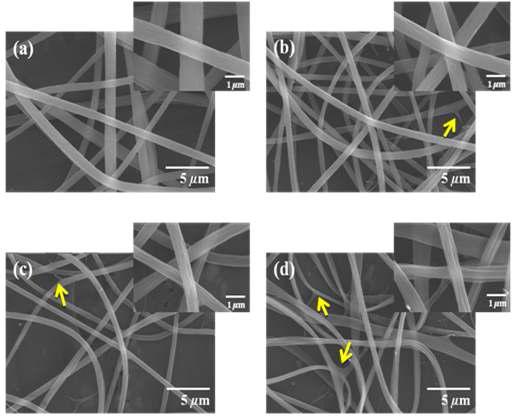 FE-SEM images of electrospun zein nanofibers containing (a) 0 wt.%, (b) 5 wt.%, (c) 10 wt.% and (d) 20 wt.% sorghum extract .