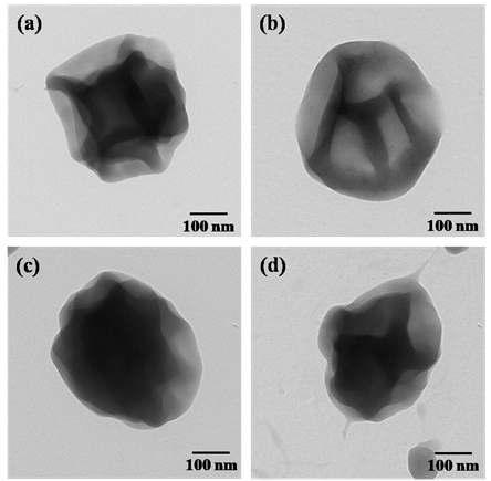 TEM images of electrospun zein nanoparticles containing with different sorghum extracts (a) 0 wt.%, (b) 5 wt.%, (c) 10 wt.% and (d) 20 wt.%