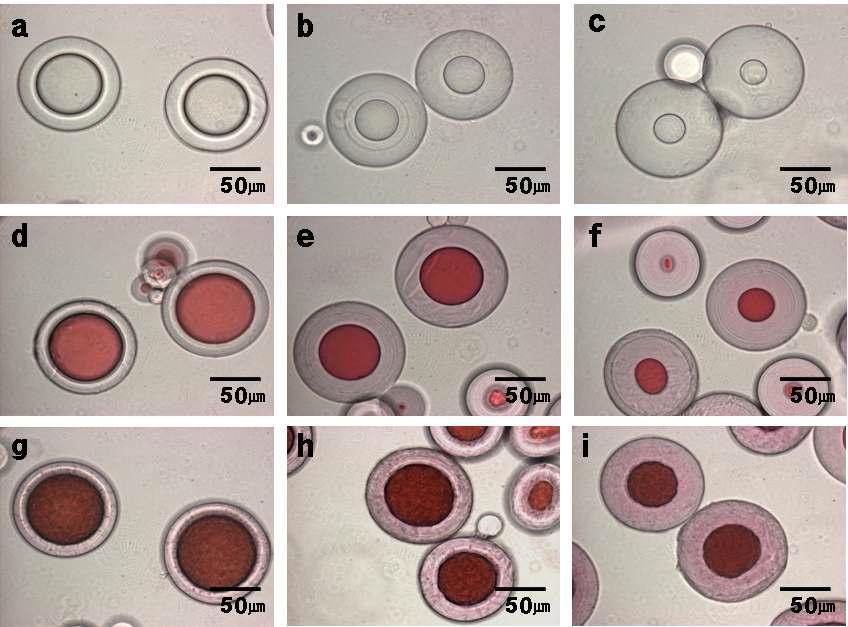 Optical micrographs of PVAc/PVA microspheres (a, b, c), PVAc/PVA/disperse dye microspheres without surfactant (d, e, f), and PVAc/PVA/disperse dye with surfactant (g, h, i).