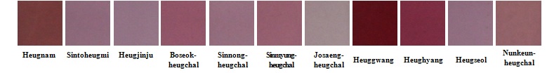 Fig. 3. Extract color of colored rice at anthocyanin concentration 0.2㎍/ml