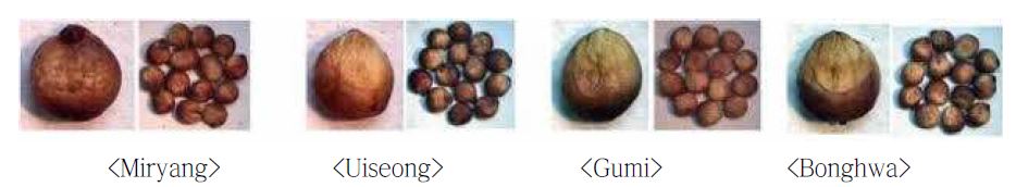 Fig 6. Seed color variation of pigmented sorghum variety Hwanggeumchal grown at 4 distinct regions in 2010.