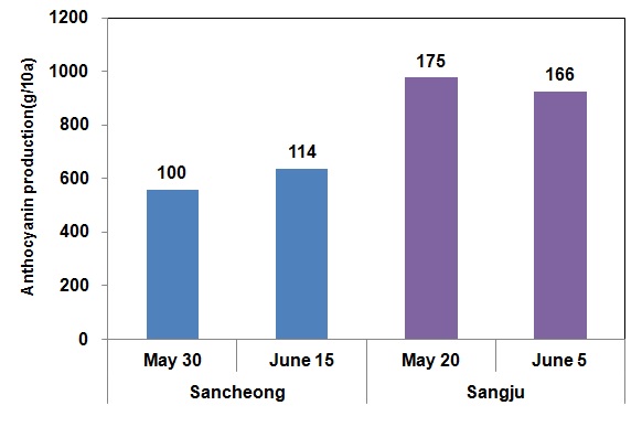 Fig 12. Anthocyanin production amounts of black pigmented rice varieties grown at 2 distinct regions in 2012.