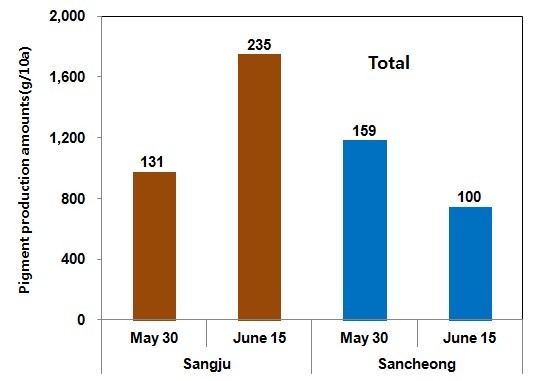 Fig. 13. Total pigments production amounts of pigmented sorghum varieties Hwanggeumchal grown at 2 distinct regions in 2012.