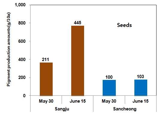 Fig. 14. Seeds pigments production amounts of pigmented sorghum varieties Hwanggeumchal grown at 2 distinct regions in 2012.