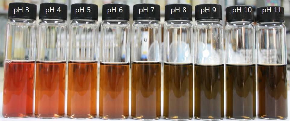 Fig. 20. The color change of colorant from black cowpea depending on pH.