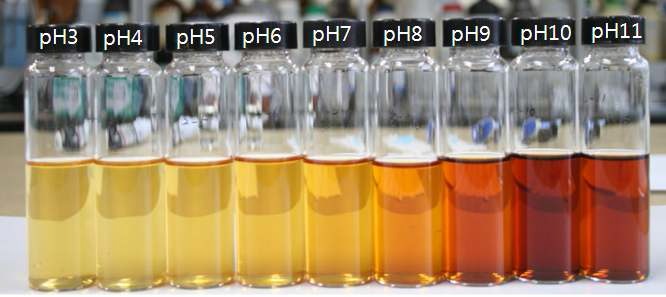 Fig. 45. The color change of colorant from sorghum depending on pH.