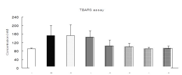 그림 22. 조생흑찰 및 새싹보리 추출물 처리에 따른 간조직내 TBARS 함량