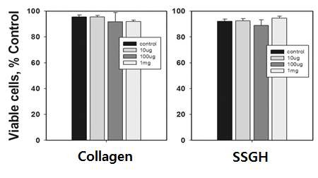 그림 11. 콜라겐과 SSGH의 세포독성 시험