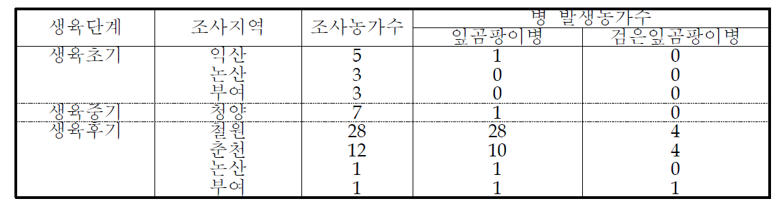 토마토 잎곰팡이병과 검은잎곰팡이병 발생정도 비교(9월 중순)