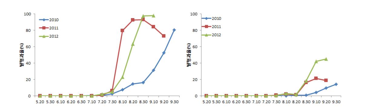 고추 예찰포 무방제구(좌)와 표준방제구(우)의 탄저병 발병율