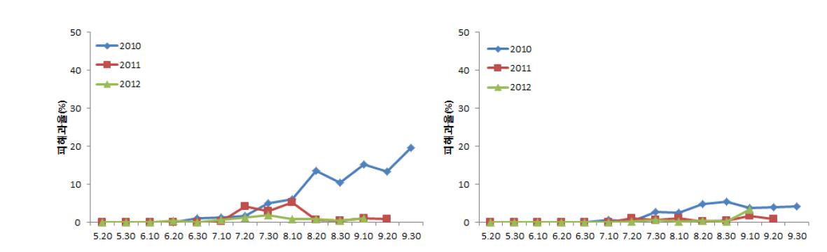 고추 예찰포 무방제구(좌)와 표준방제구(우)의 담배나방 피해율
