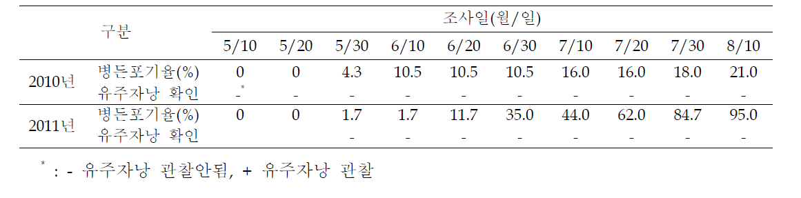 고추 과실을 미끼로 이용한 토양 내 유주자낭 검출 결과