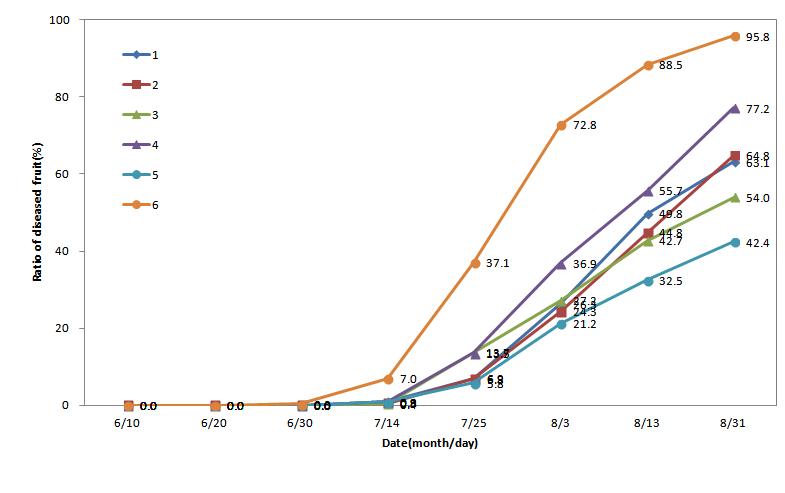 2011년 농약처리방법별 고추탄저병 진전 곡선
