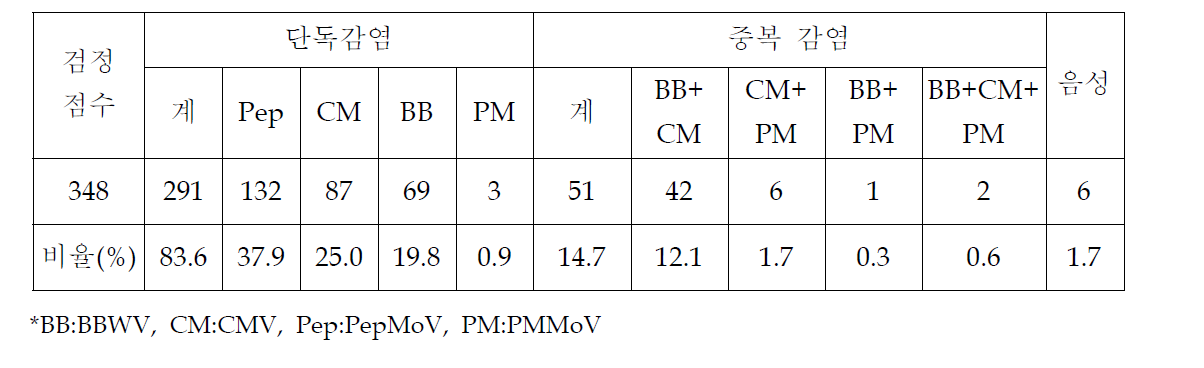 모자이크증상 바이러스 검정결과