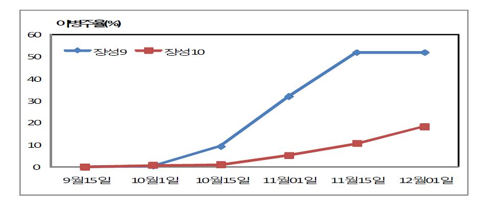 토마토 풋마름병 발생소장