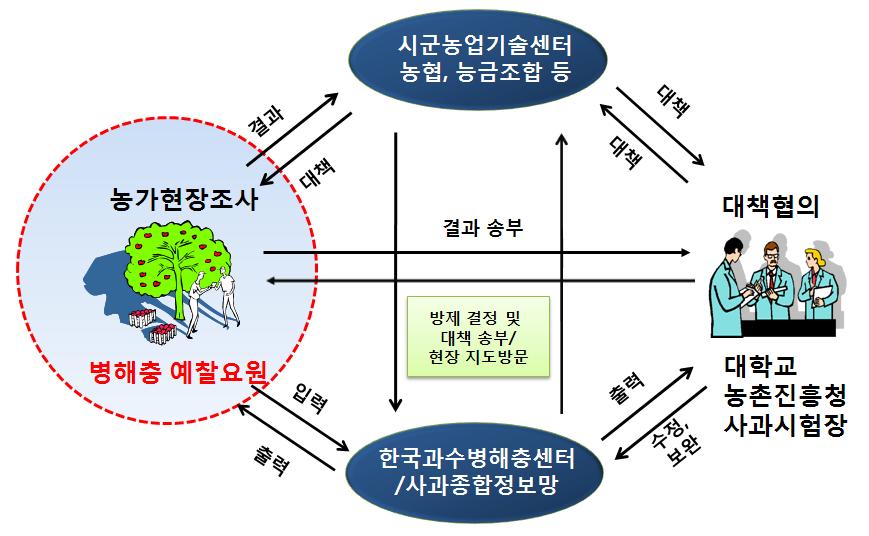 돌발 병해 조사 제도 운영