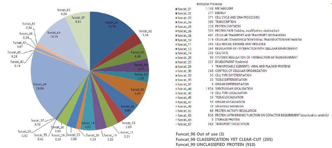 그림 7. MIPS FunCat 검색을 이용한 유전자의 기능 추정 결과의 예