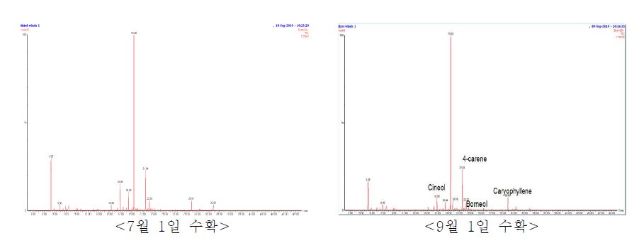 Fig. 11. 수확시기별 휘발성 성분 크로마토그램