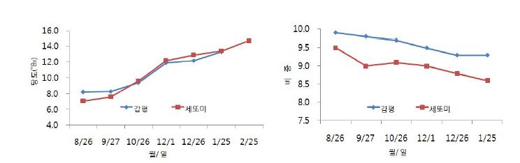 그림 8. ‘세또미’ 과실 당도 및 비중 변화 추이