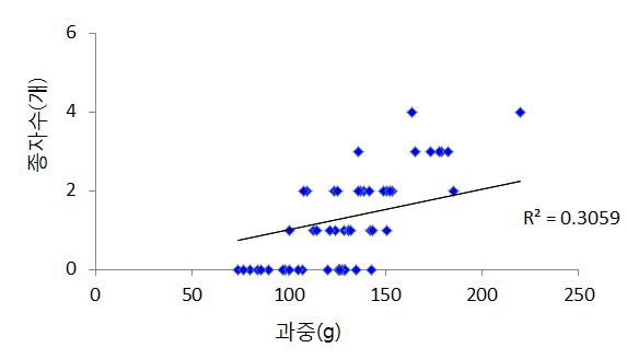 그림 10. 과실 크기에 따른 과실 내 종자수(2012)