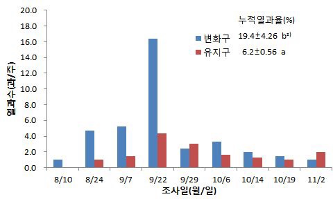 그림 22. 토양수분 관리 방법에 따른 열과발생 상황(서귀포시 도순, 2011)