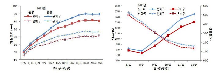 그림 23. 토양수분 관리방법에 따른 과실비대 상황(좌) 및 품질변화(우)(서귀포시 도순)