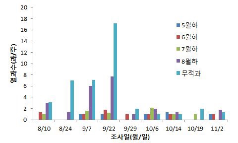 그림 24. 적화 및 적과시기에 따른 열과 발생 동향(2011 서귀포시 신례)