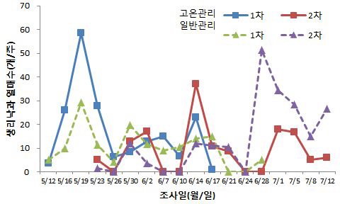 그림 31. 생리낙과기 관리온도에 따른 생리낙과 상황(2010 서귀포시 도순)