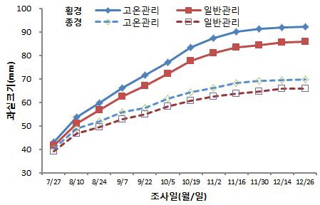 그림 34. 생리낙과기 관리온도에 따른 과실비대 상황(2011 서귀포시 도순)