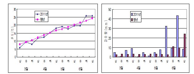 그림 1. 단지무 봄재배 생육기간동안의 기상 개황