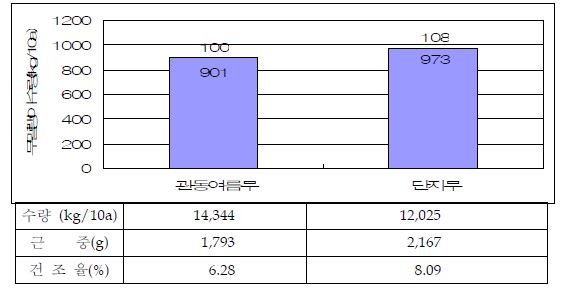 그림 19. 단지무 및 월동무의 무말랭이 생산성 비교