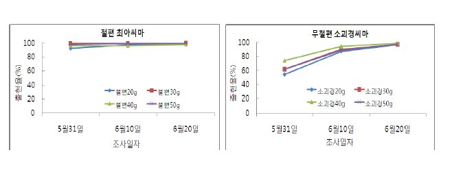 그림 21. 둥근마 절편 최아, 무절편 소괴경 씨마의 무게별 출현율