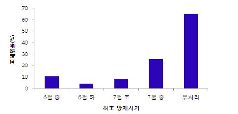 그림 31. 1차 약제 약제살포 시기에 따른 마 피해엽율