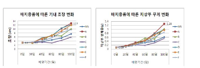 그림 3. 배지종류에 따른 기내 초장 및 지상부 무게 변화