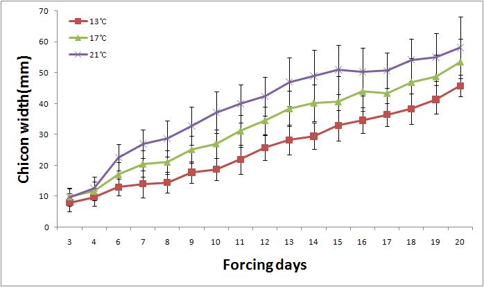 온도별 생육일수에 따른 치콘 너비 생장 곡선